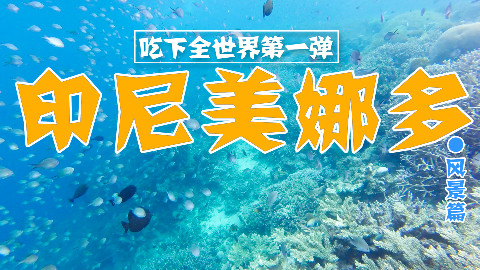 【品城记】特辑︱全球排名第一的潜水圣地并非浪得虚名,太过瘾太刺激了!